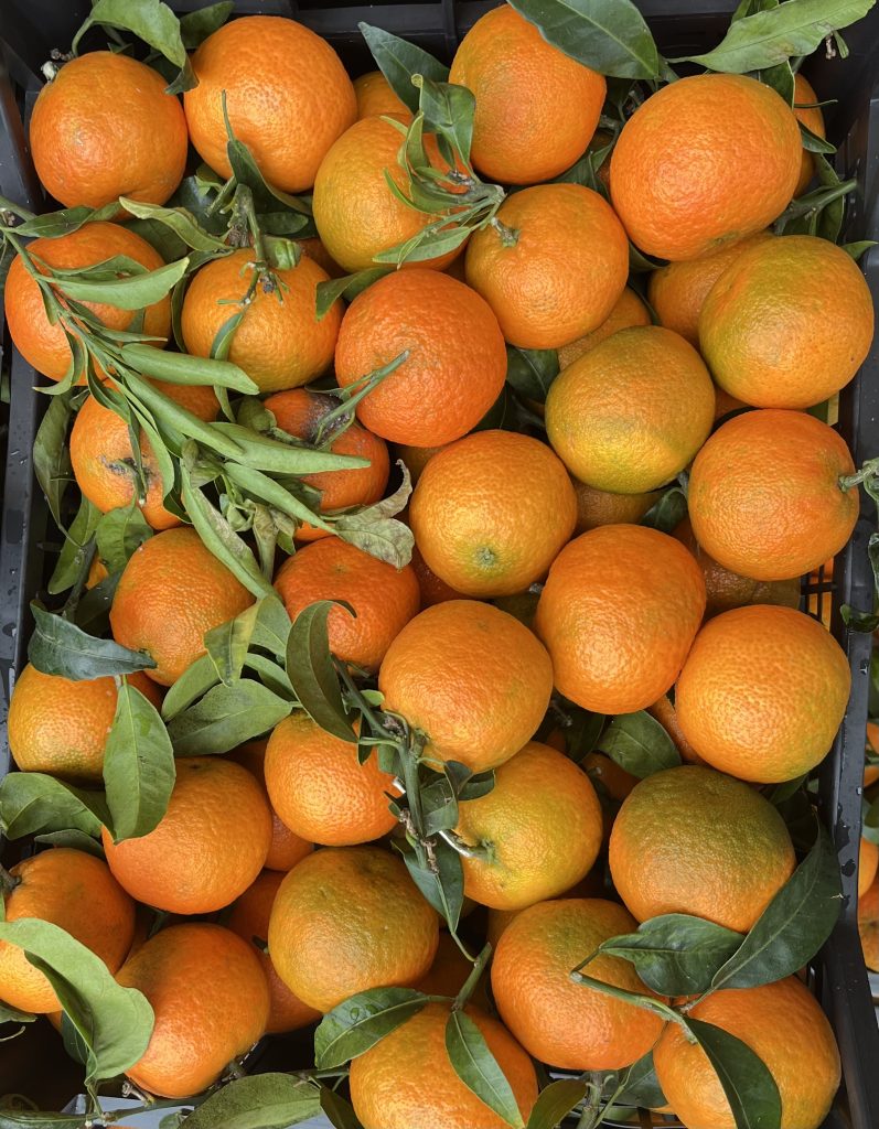 Consumare la frutta e verdura di stagione. I primi mandarini mi ricordano il Natale.