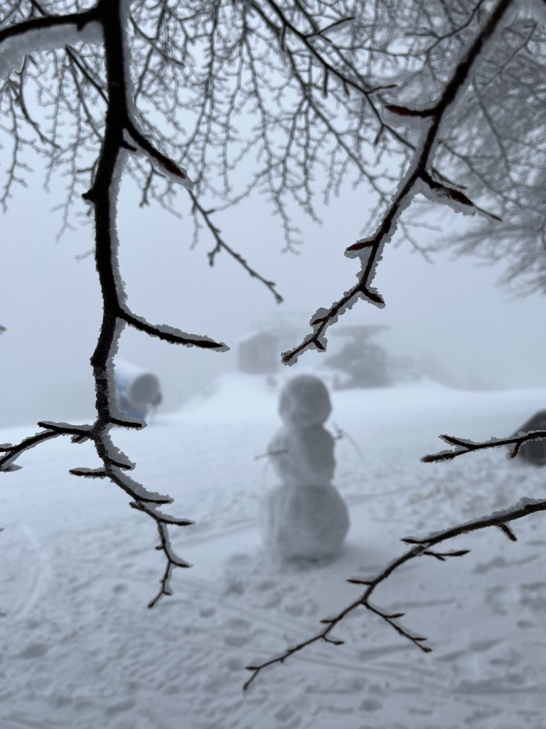 Mi piace uscire e giocare all’aperto con i bimbi, anche quando nevica. Fare un pupazzo di neve, scendere con lo slittino ridendo a più non posso, sentire le guance che si arrossano mentre respiriamo quell’aria fresca e pungente .
E poi, rientrare tutti insieme, con i nasi gelati e gli occhi che brillano, per bere una bella cioccolata calda… che scioglie il freddo, accende l’allegria e scalda non solo il corpo, ma anche l’anima.