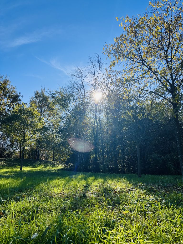 Godersi gli ultimi raggi di sole che ci riscaldano nelle giornate autunnali.