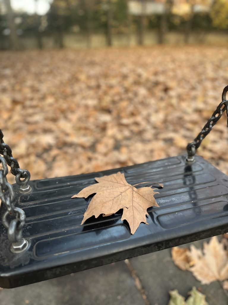 Una foglia gialla, caduta dall’albero in autunno, giace sola a terra. La osservo per un istante e, mentre mi volto, avverto che anche la mia malinconia si allontana