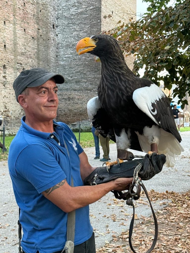 Alla sagra della zucca la presentazione dei uccelli che sono stati trovati in pessime condizioni. Li hanno curato e a breve saranno liberati.