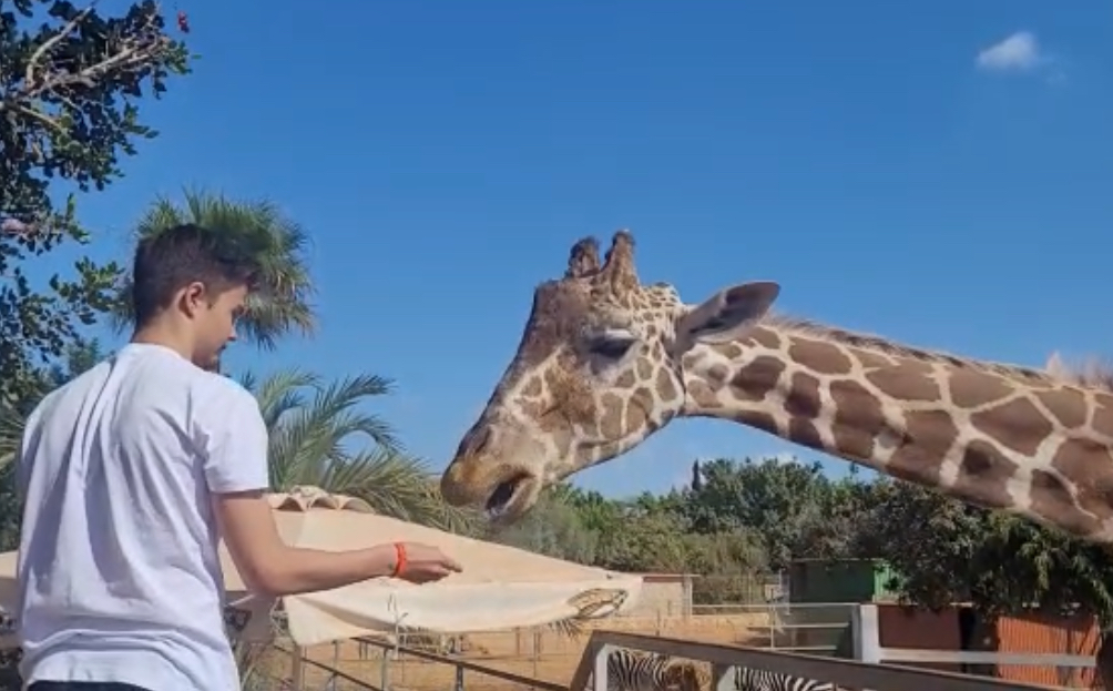 Il contatto con la natura e animali mi fa veramente aprire l’anima a tutto ciò intorno a me.