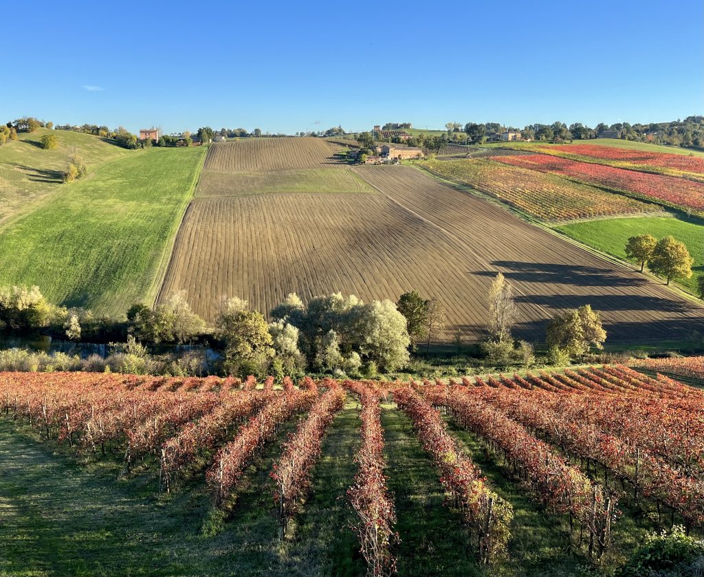 Il mio benessere è godermi il panorama Modenese