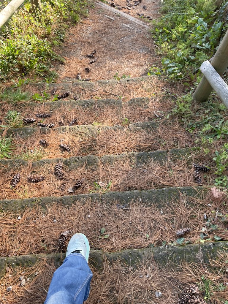 Camminare per godere del tempo. Trovare sollievo nei sentieri, nel bosco per risvegliare i sensi e la curiosità.