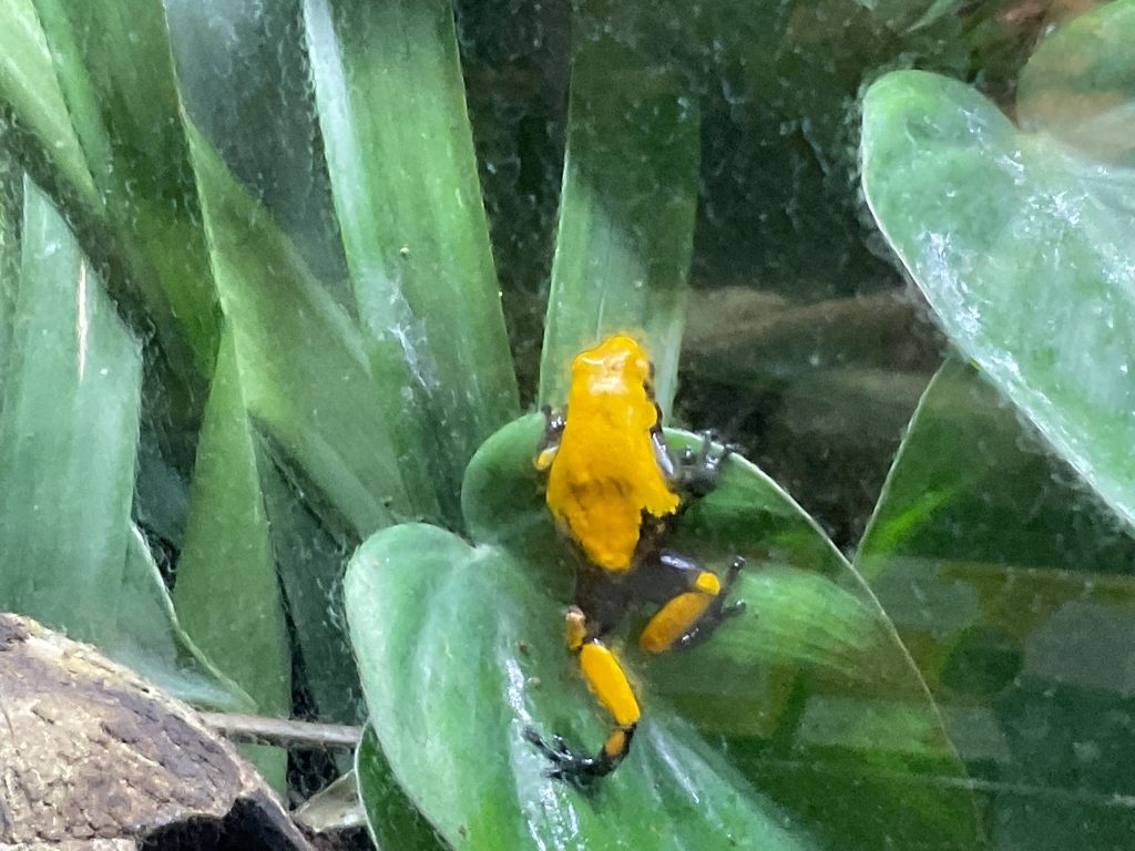 Scoprire le meraviglie della natura, le sue forme e i suoi colori che sanno sempre sorprendere