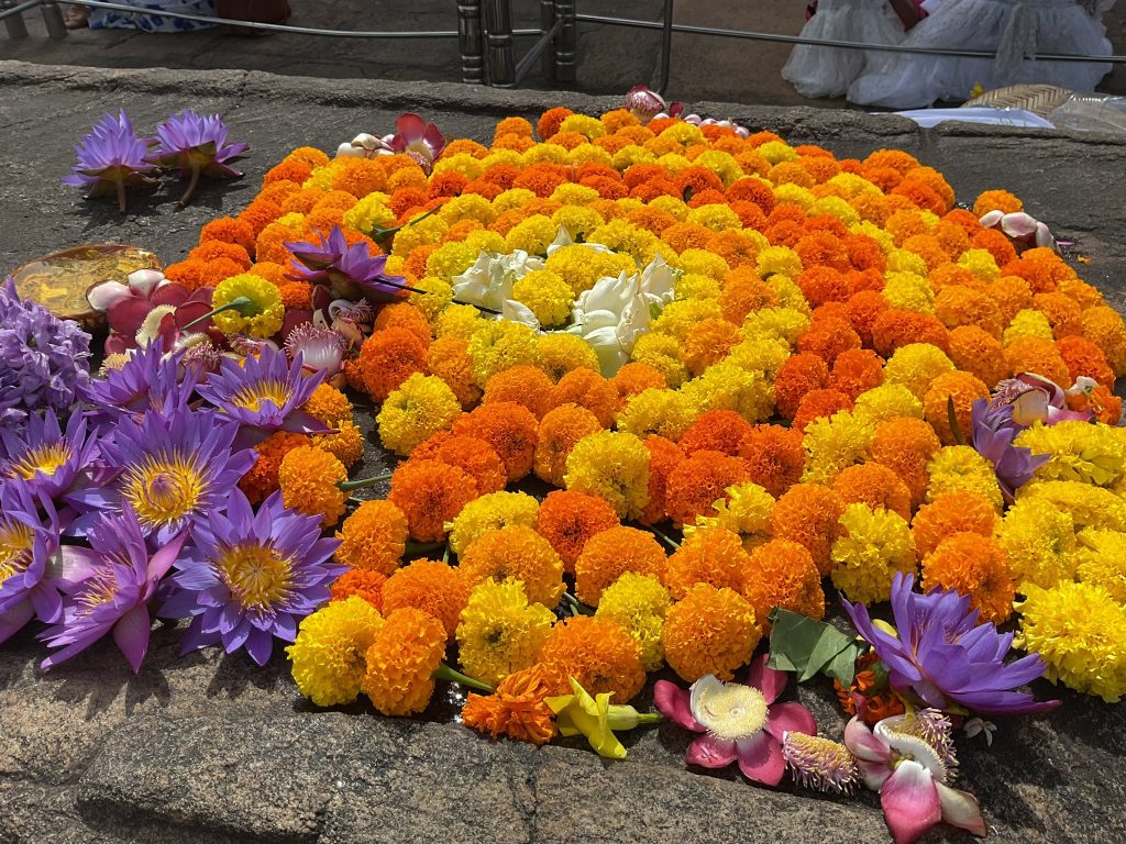 La disposizione concentrica dei fiori, con il bianco al centro e i colori caldi che si irradiano verso l’esterno, richiama la meditazione e il concetto di equilibrio interiore