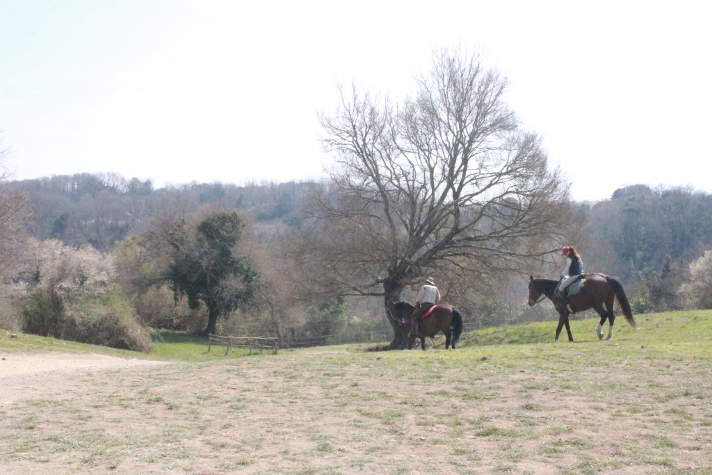 Una passeggiata a cavallo nella natura