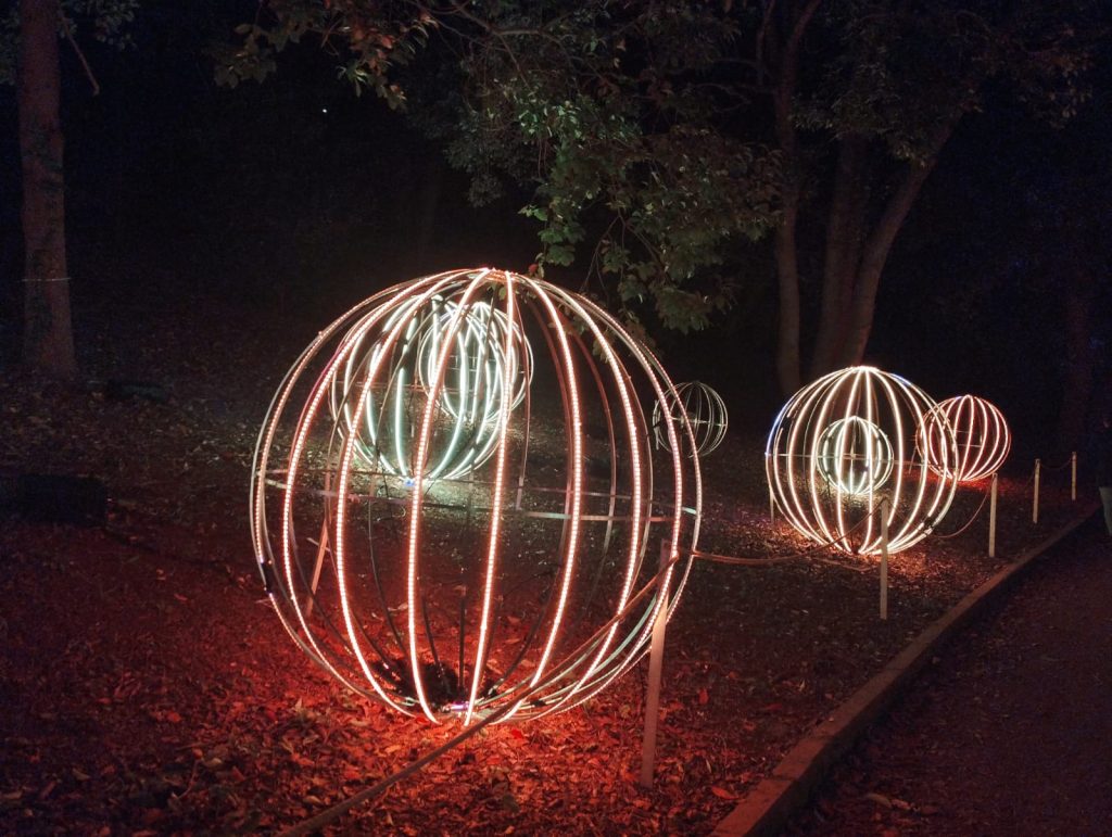 Il mio benessere è scoprire l'Orto Botanico di Roma che come ogni anno a Natale si colora di luci. suoni ed emozioni