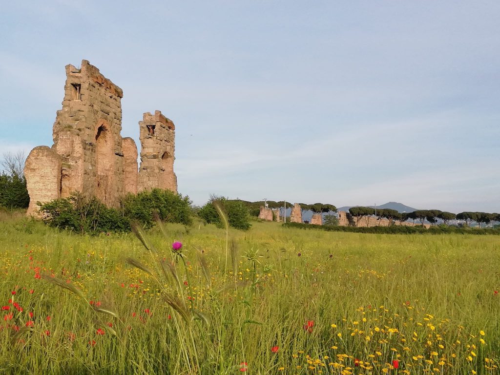 Nel Parco degli Acquedotti, la primavera dipinge ogni angolo di luce e colore: tra papaveri danzanti e archi millenari, il benessere si respira a pieni polmoni, mentre la storia abbraccia la natura in un equilibrio perfetto.
