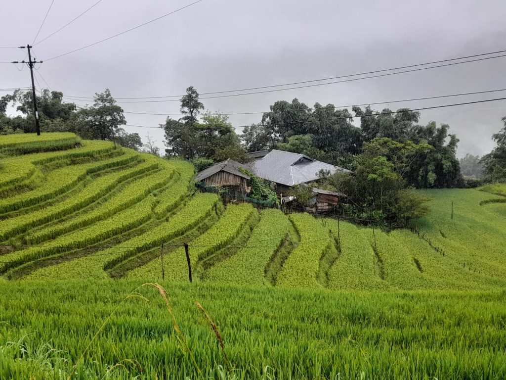 Perdermi tra lra le curve armoniose delle risaie di Sapa, dove il tempo sembra rallentare e ogni gradino verde racconta del equilibrio tra uomo e natura