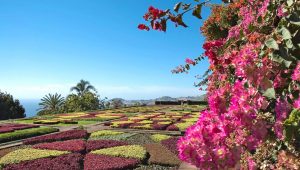 Msc seascape_cruise-to-funchal-portugal-fiori