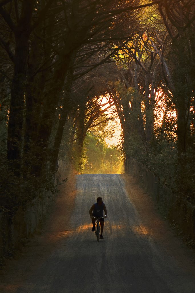 Al sorgere del sole, una pedalata nella pineta respirando l'aria del mattino.