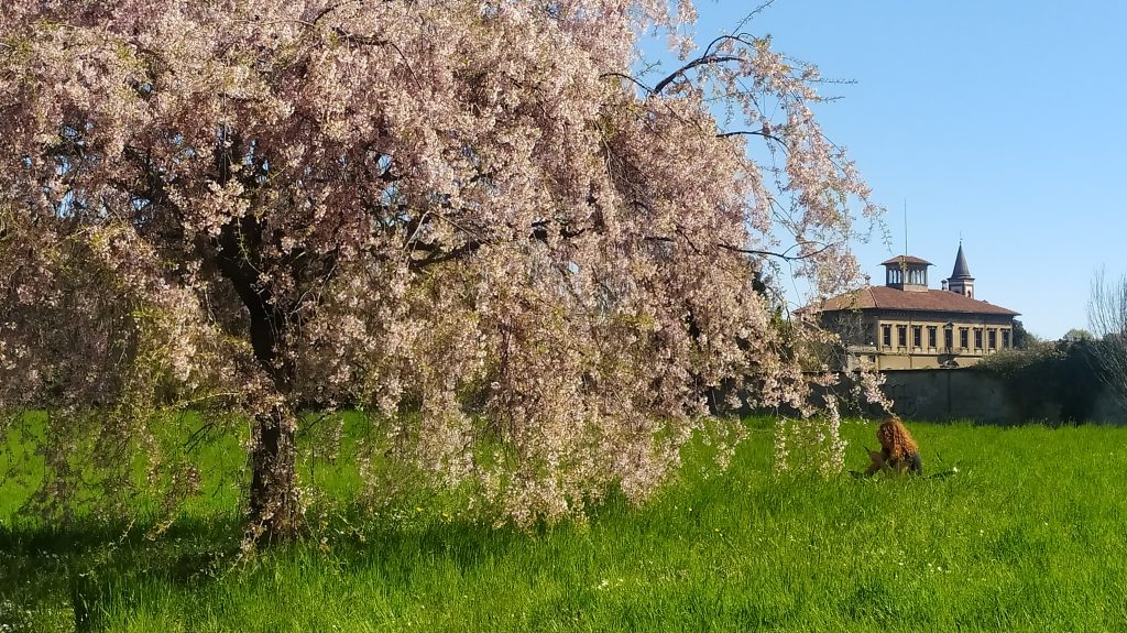 il nuovo e il vecchio respirando i loro profumi