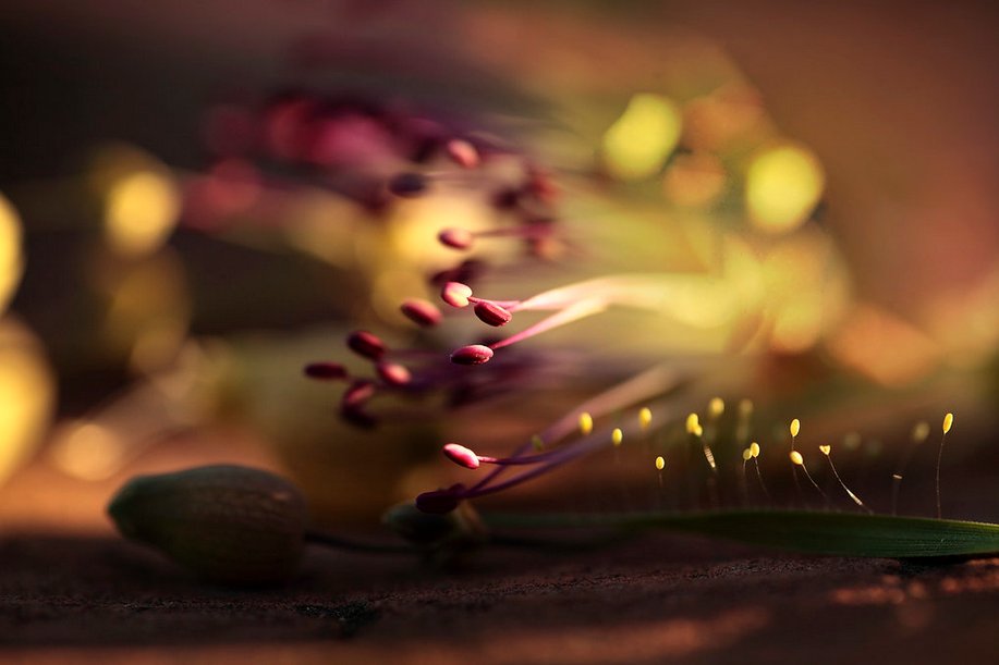 giochi di luce che veicolano i miei pensieri, in simbiosi corpo e mente con la natura…