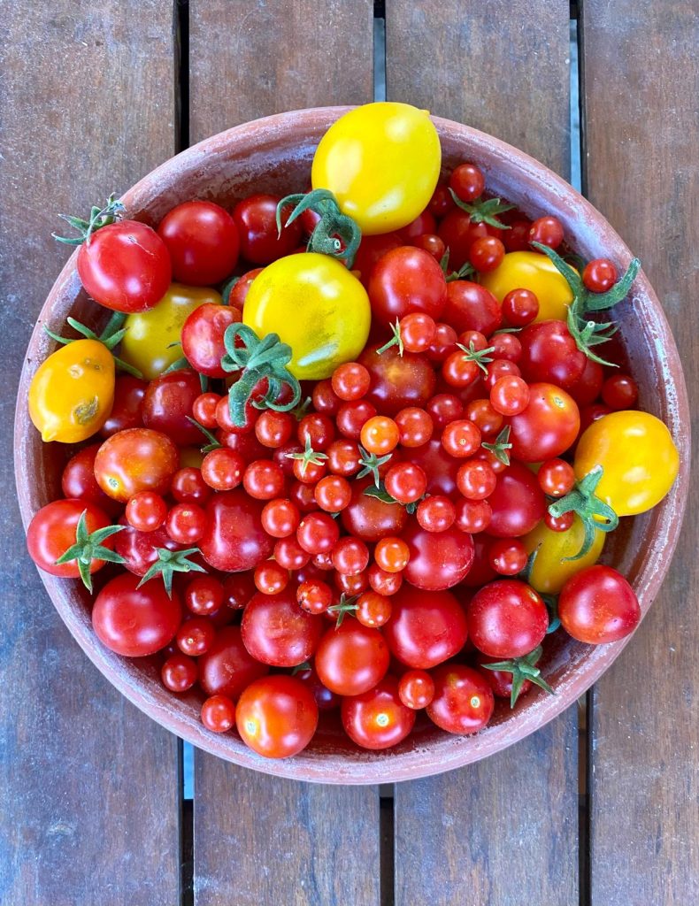 Coltivare il proprio orto è un gesto di benessere completo: cibi freschi e naturali per il corpo, serenità e soddisfazione per la mente