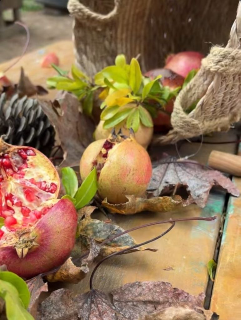 L'autunno ci avvolge con i suoi colori caldi e la sua magia, regalandoci il melograno, un vero e proprio gioiello della natura, simbolo di abbondanza e un concentrato di benessere per corpo e spirito.