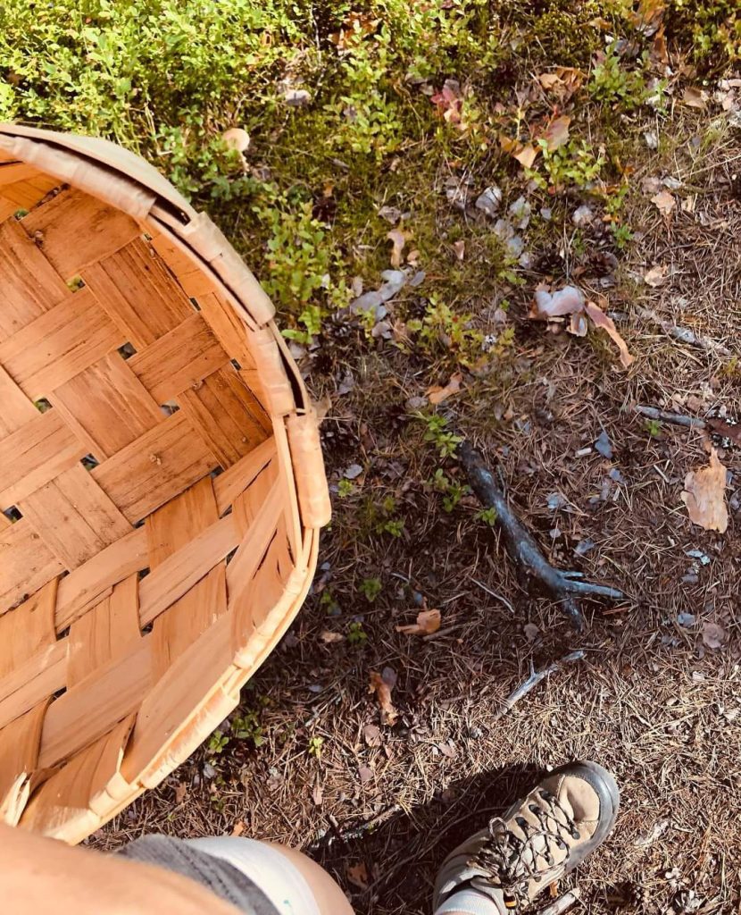 Il mio benessere.."Raccogliere funghi in autunno è un'esperienza che nutre tanto il corpo quanto lo spirito. Camminare tra gli alberi, con il profumo della terra umida e l’aria frizzante che accarezza il viso, è un vero e proprio atto di benessere. Ogni passo nei boschi, tra foglie dorate e ruscelli che scorrono silenziosi, è un modo per ritrovare il contatto con la natura e con sé stessi. Il gesto delicato di raccogliere un fungo, con la sua bellezza semplice e autentica, ci invita a rallentare