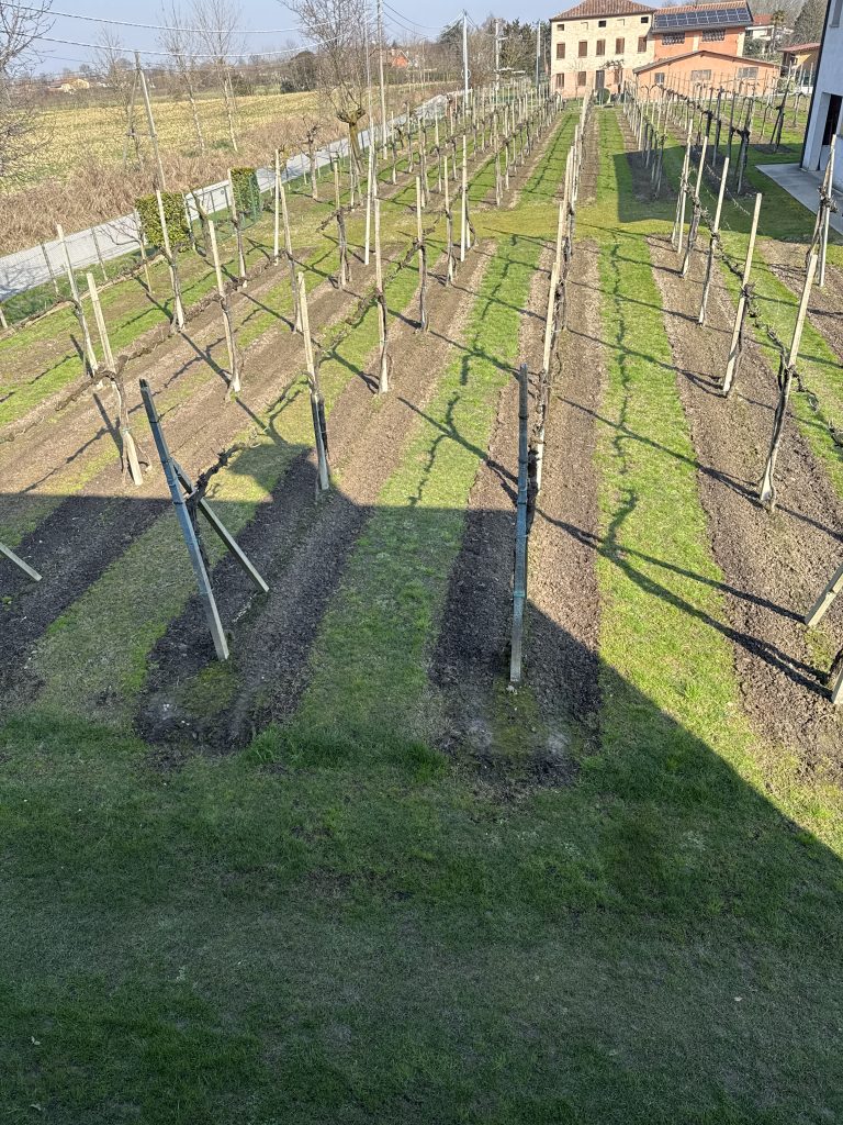 respirare aria sana, ammirare i frutti che la natura offre dopo un’accurata cura.