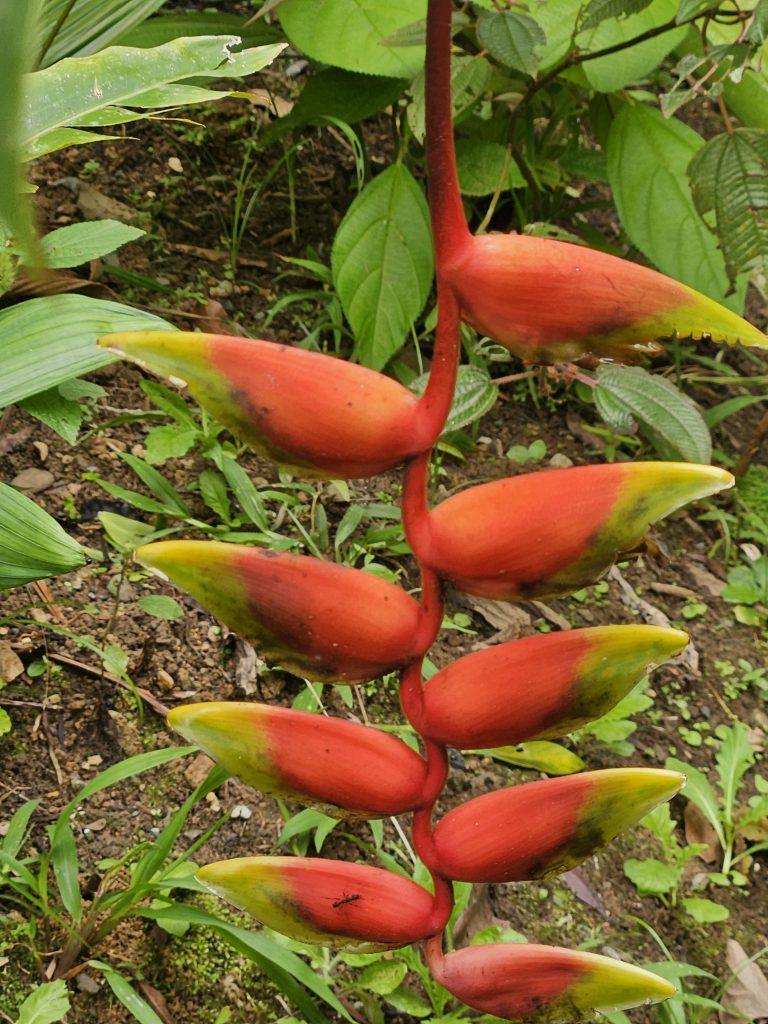 Respirare mezzo alla natura apprezzare la sua bellezza ed unicità e viverla in maniera consapevole