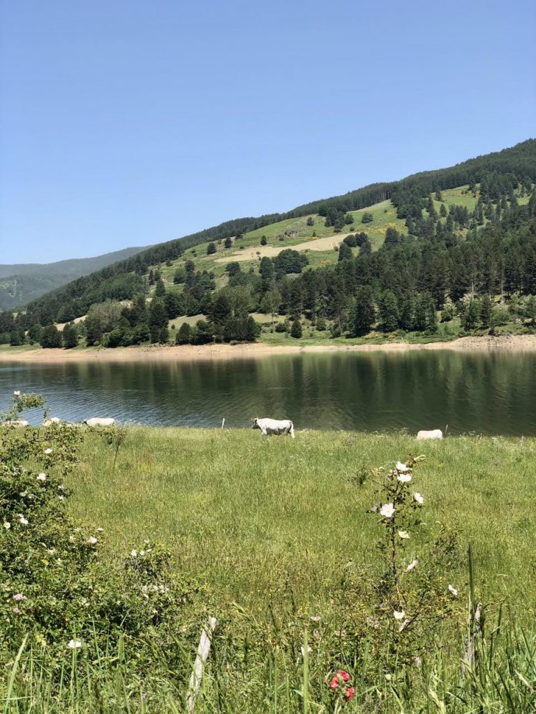 Il mio benessere è ascoltare la Natura