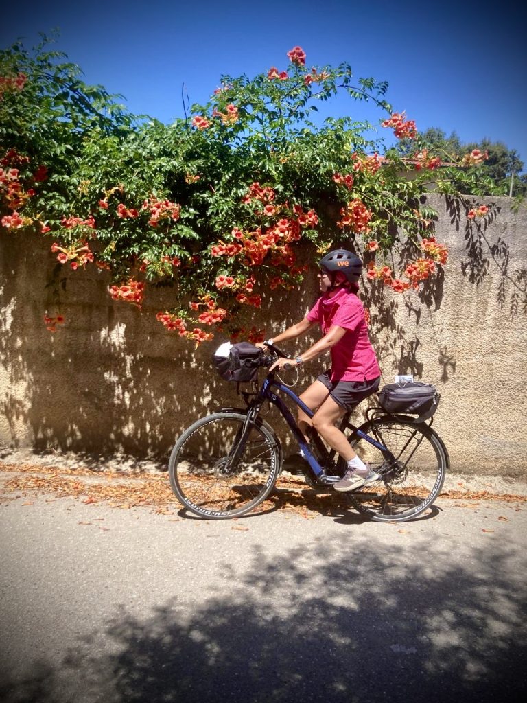 L’equilibrio di due ruote e due pedali