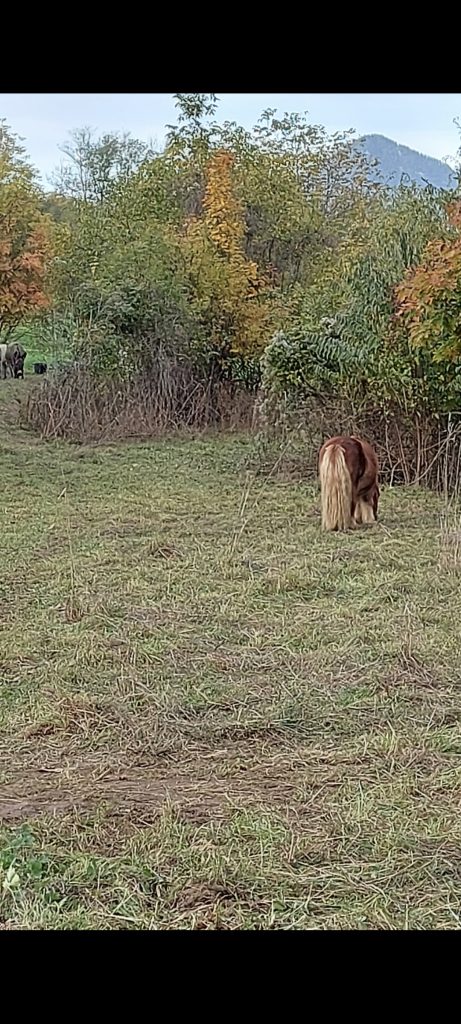 Osservarla natura e il suo habitat ...la calma e pace della mia mente e del mio cuore