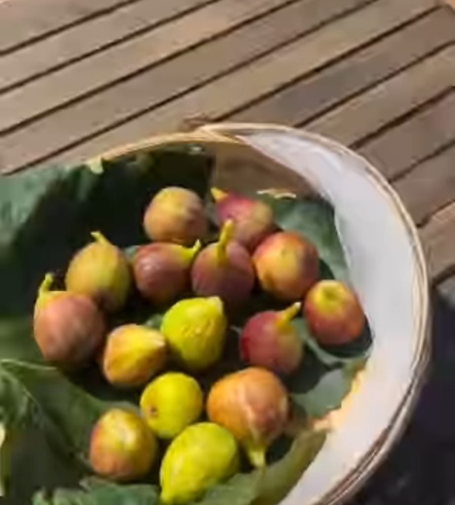 Mangiare solo frutta di stagione..
Rigorosamente dal mio orto..benessere e salute dal mio orticello a km 0
