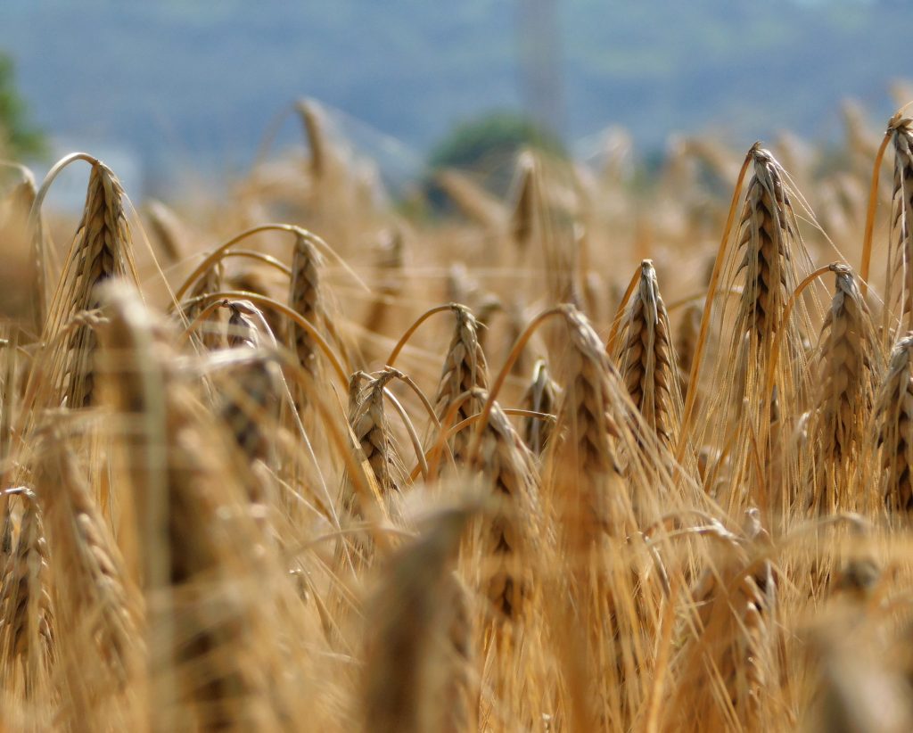 Ascoltare il rumore del vento