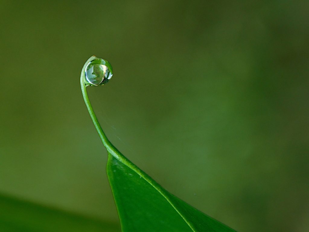 Pensare che il mondo ci osserva ed abbiamo il dovere di rispettarlo.