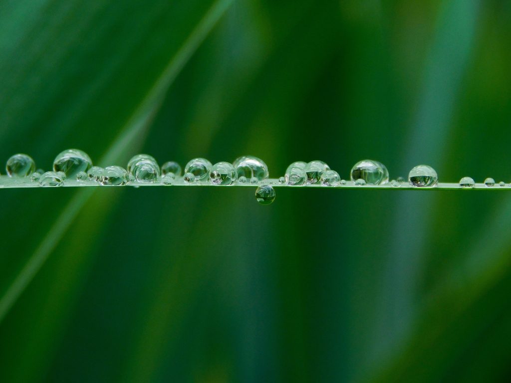 La ricerca di un giusto equilibrio