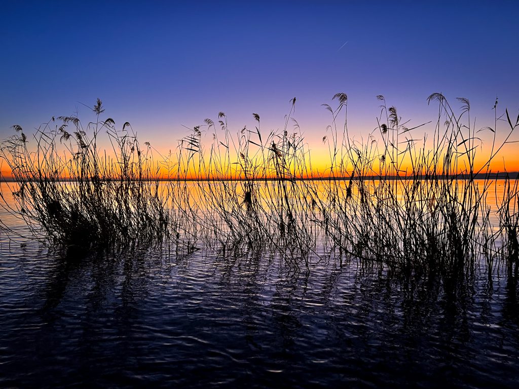 Ammirare la transizione perfetta di colore in un dipinto naturale, sul quale delicatamente si posano i pennelli dell’artista, Madre Natura.