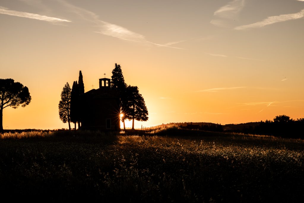 ...seduto, in silenzio ad ammirare l'inizio di una nuova estate. Il calore del sole, il canto dei grilli e la danza del vento...