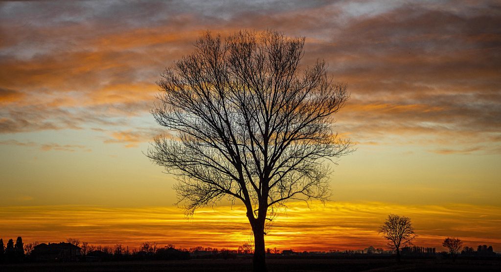 camminare nella natura, ascoltare la natura, scattare foto a ciò che mi emoziona