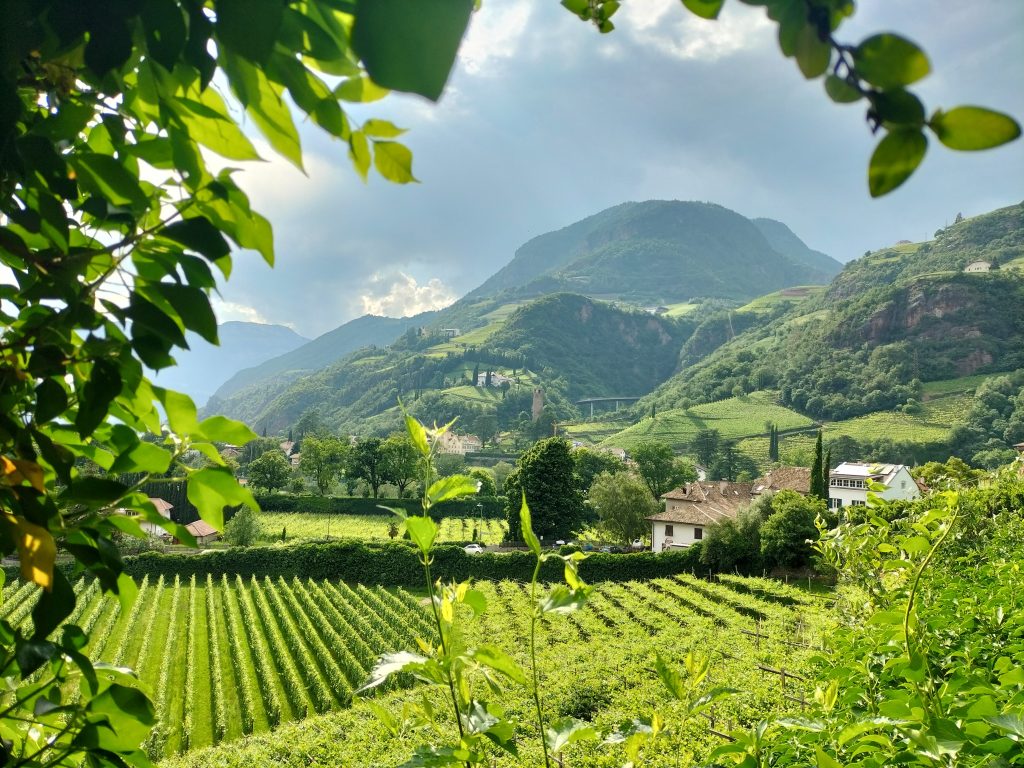 fare passeggiate in mezzo alla natura.