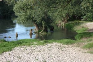 Tenuta Sant Agostino