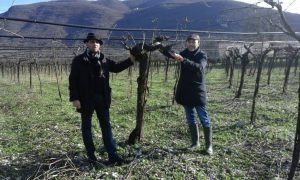 Da sinistra Carlo Ceparano e Vincenzo Mercurio