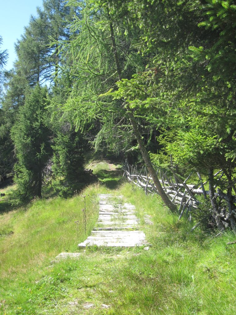 una passeggiata nei boschi