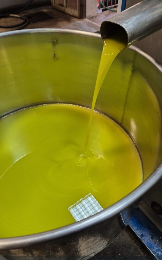 Eccolo il mio benessere,il mio "oro" di casa
L'olio d'oliva nostrano fatto in casa è un autentico elisir di benessere, un dono della terra che racchiude tutta la purezza e il sapore della tradizione. "Estratto" con cura dalle olive raccolte a mano, quest'olio è il frutto di un processo lento e rispettoso della natura, che trasforma le olive in un liquido dorato ricco di antiossidanti, vitamine e grassi buoni per la salute.
Ogni goccia di olio d’oliva fatto in casa è come un piccolo gesto di cura