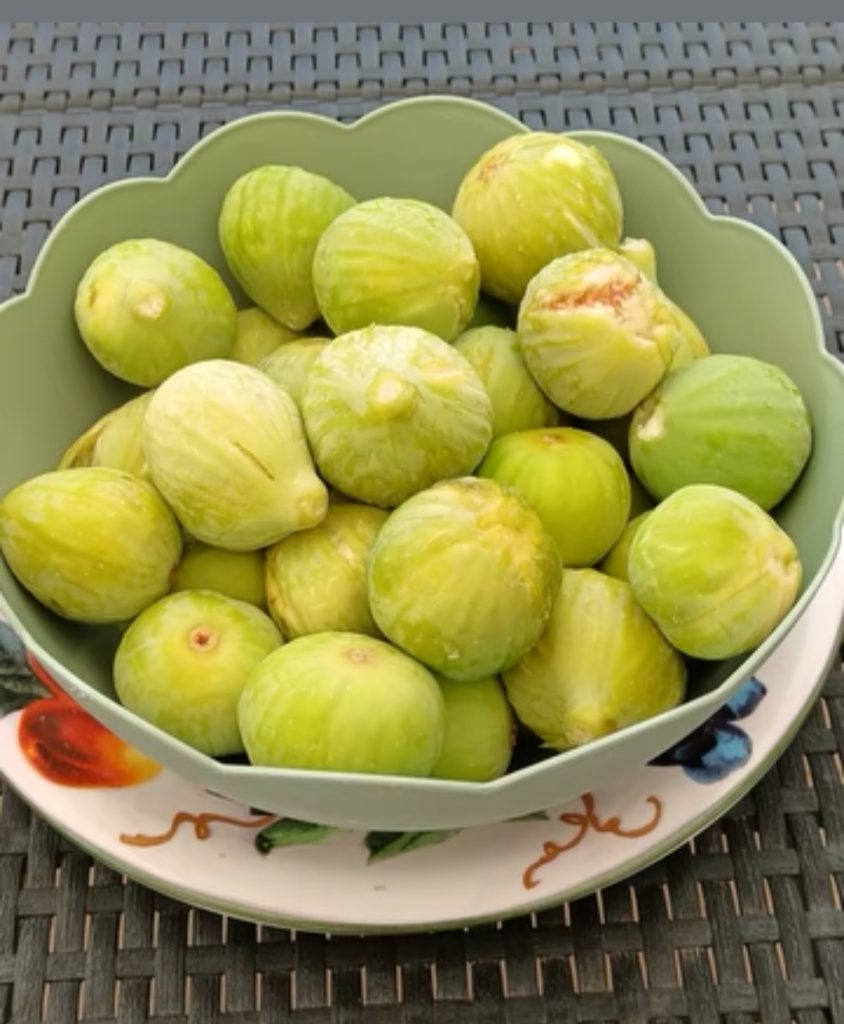 L'alimentazione sana è la base del mio benessere, e non c'è niente di meglio della frutta di stagione del mio orto: prendi il fico, ad esempio, e scopri tutte le sue proprietà benefiche per il corpo