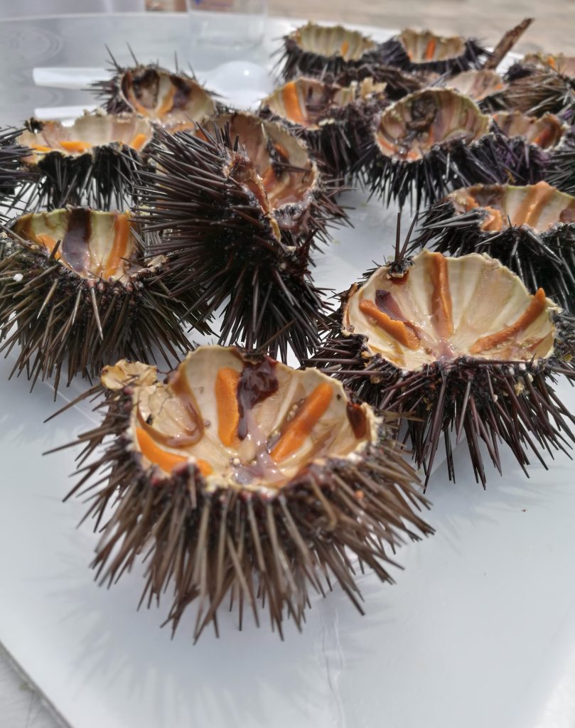 Sentire il profumo del Mar Mediterraneo gustando questi prelibati ricci di mare ma garantendo la stagionalità e la pesca sostenibile di questi preziosi abitanti dei nostri Mari