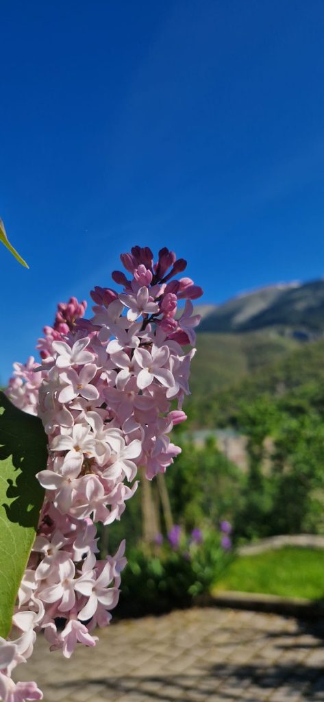 ...meravigliarmi della natura in ogni sua sfumatura
