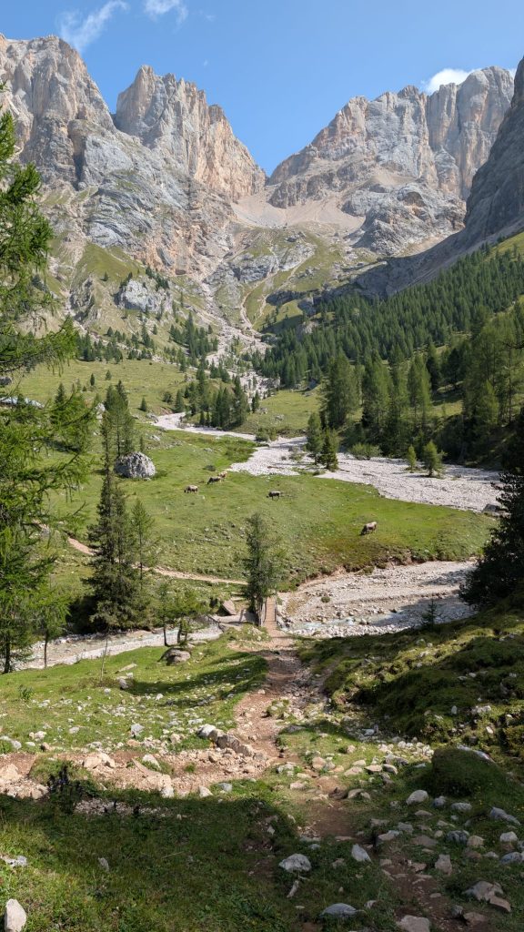 ...camminare in montagna