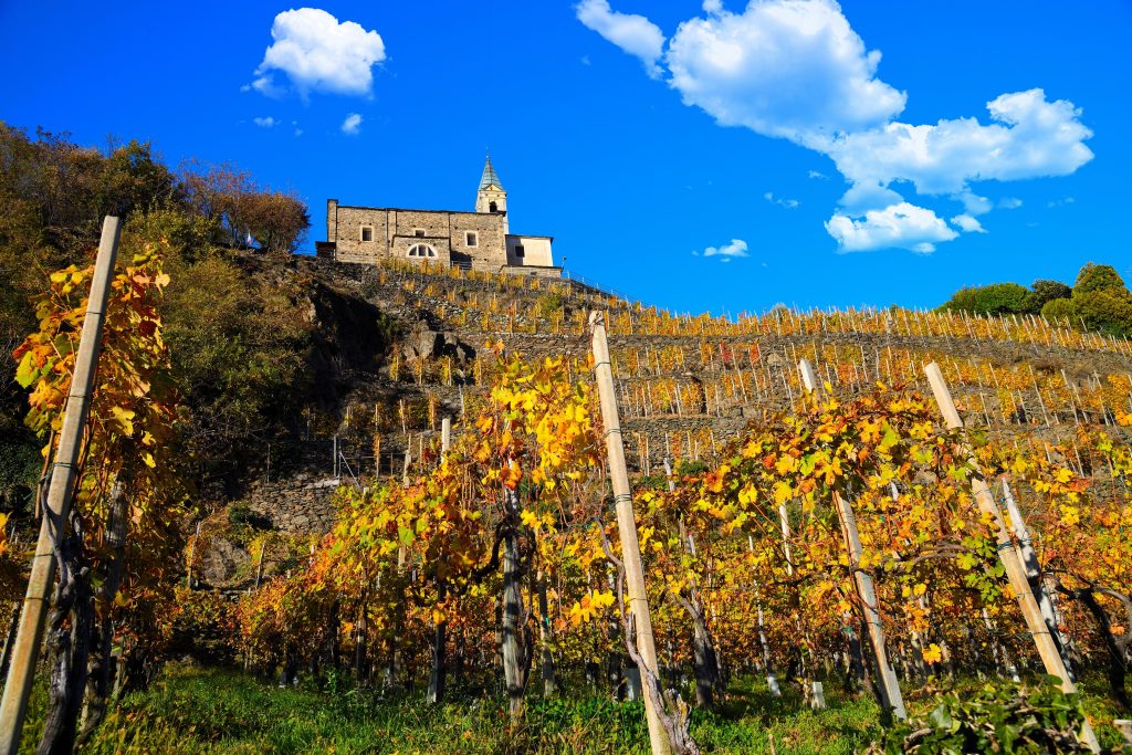 il mio benessere è passeggiare tra i vigneti della Valtellina, circondata dai colori autunnali, dal cielo blu e dal profumo di libertà