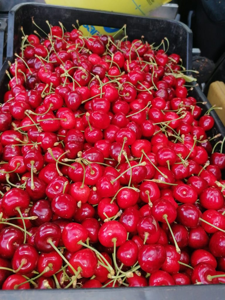 gustare il prelibato cibo della nostra bella Italia