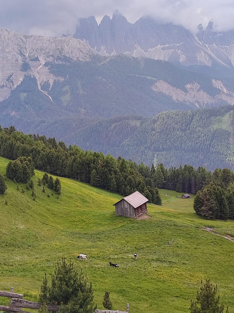 vivere questi meravigliosi panorami