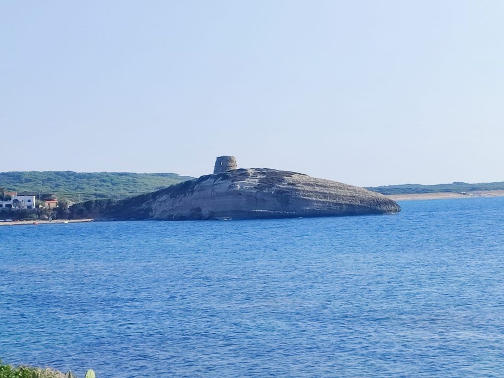 osservare le meraviglie della natura