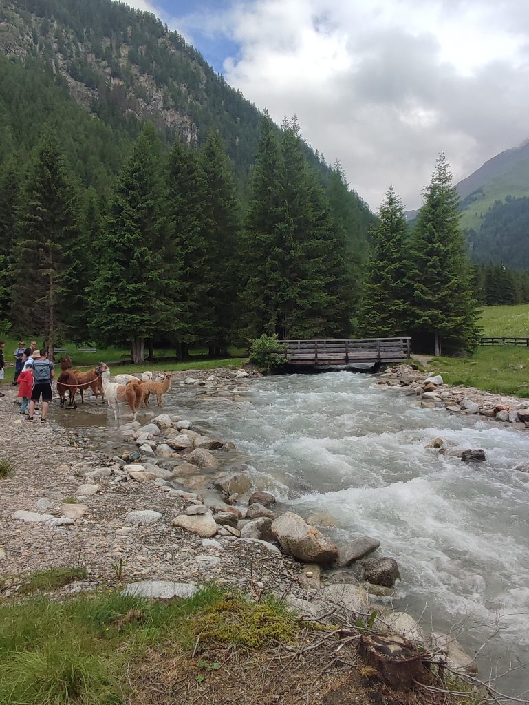l' alta montagna...quel verde brillante, quei paesaggi mozzafiato, quell'aria fresca, pulita, sono diventati per me una sana dipendenza