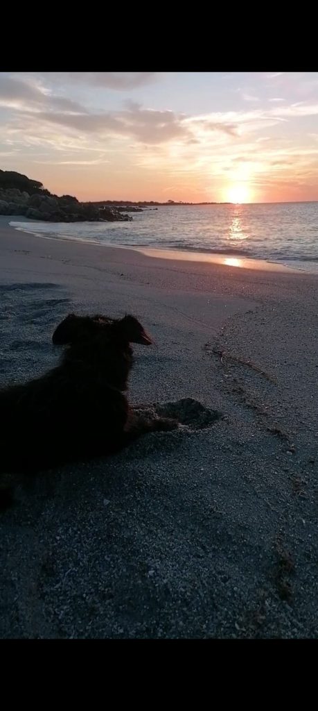 Guardare un tramonto con la mia metà pelosa