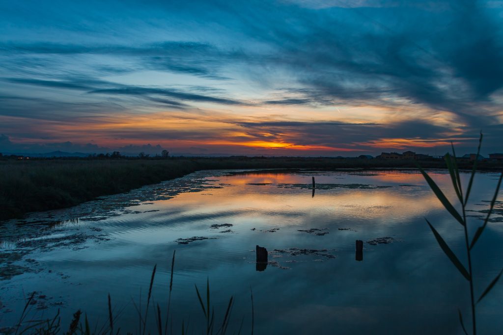 Fare lunghe passeggiate immersa nella natura