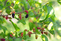 Destinazione Benessere 25